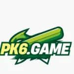 pk6 Game